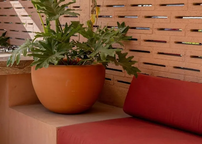 Apartamento In A Restored 1914 | Casa Serapio *